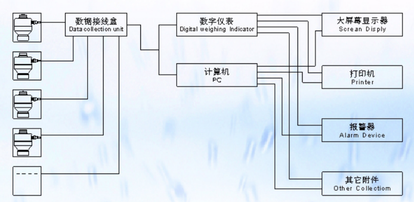 ZSW-D型FB香蕉福利久久福利久久香蕉称重系统示意图